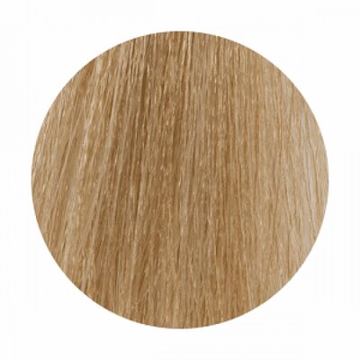 Royal Kis SafeShade Verf 100ml ( Zeer Licht Beigeblond) Nr. 9B